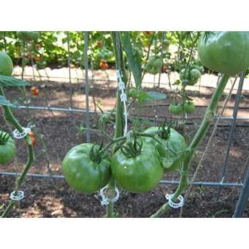 MIHEY 300 Pcs Tomato Trellis Clips - Versatile Support for Your Garden