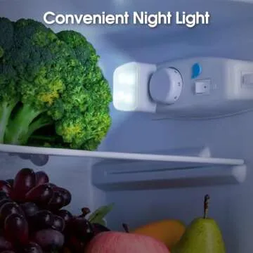 Anypro Compact 4.0 Cu.Ft Fridge with Bottom Freezer