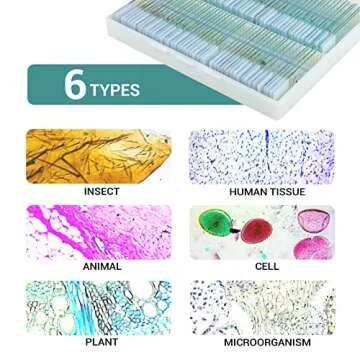 100 Prepared Microscope Slides for Kids and Students