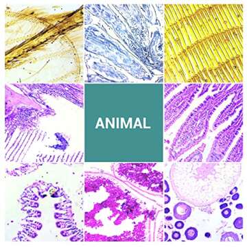 100 Microscope Slides with Specimens for Kids and Adults, Prepared Microscope Slides with Plants Animals Insects for Students Homeschool Edu