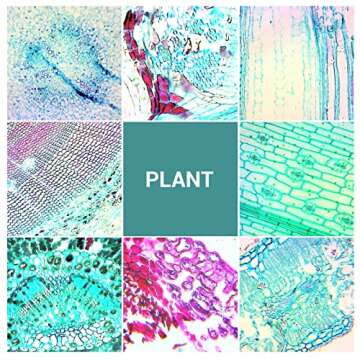 100 Microscope Slides with Specimens for Kids and Adults, Prepared Microscope Slides with Plants Animals Insects for Students Homeschool Edu