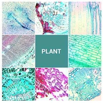 100 Prepared Microscope Slides for Kids and Students