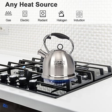 Stainless Steel Whistling Tea Kettle for Home & Kitchen