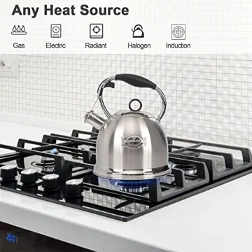 Stainless Steel Whistling Tea Kettle for Home & Kitchen