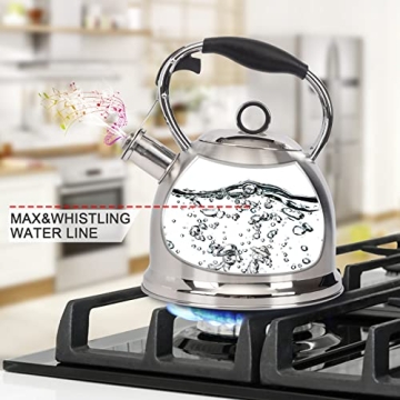 Stainless Steel Whistling Tea Kettle for Home & Kitchen