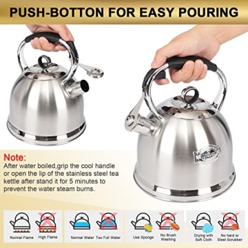 Stainless Steel Whistling Tea Kettle for Home & Kitchen