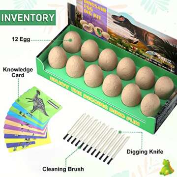 Bigear Dinosaur Eggs Excavation Dig Kit - Dinosaur Toys for Kids - Break Open 12 Dinosaur Eggs and D...