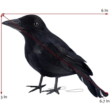 Realistic Black Feathered Crows for Halloween Decor