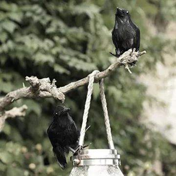 Realistic Black Feathered Crows for Halloween Decor