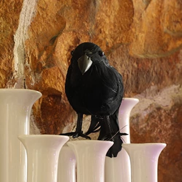 Realistic Black Feathered Crows for Halloween Decor