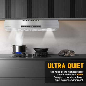 VENFAN 30 Inch 600 CFM Under Cabinet Range Hood