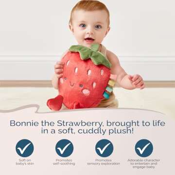 Itzy Ritzy Plush Strawberry Toy for Babies & Kids