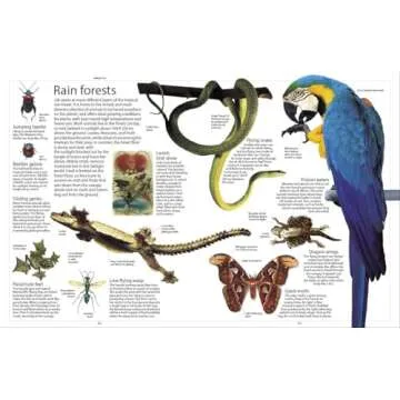 Encyclopedia of Animals