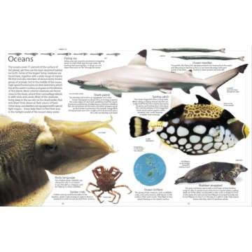 Encyclopedia of Animals