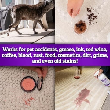 Folex Professional Carpet Spot Remover 34oz Cleaner