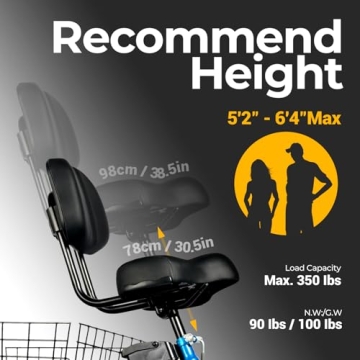 Geemax Electric Tricycle 20" Fat Tire 36V 350W with Basket