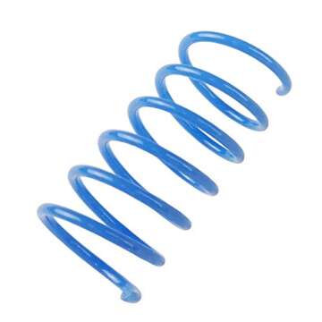 Tamu Style Cat Spring Toys (60 Pack) - Playful Coils for Kittens, BPA Free Plastic for Swatting, Bit...