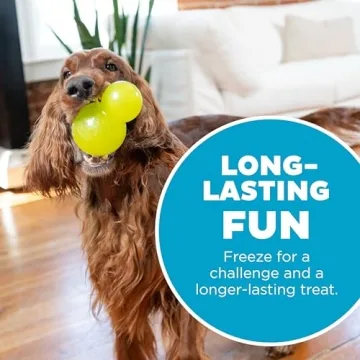 Interactive Durable Dog Chew Toy for All Breeds