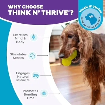 Interactive Durable Dog Chew Toy for All Breeds