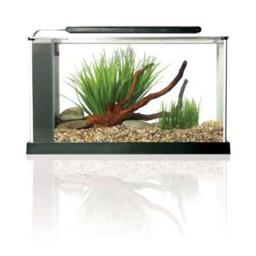 Fluval SPEC Aquarium Kit, Aquarium with LED Lighting and 3-Stage Filtration System, 5-Gallon