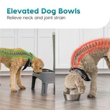 IRIS USA Elevated Dog Bowls for Healthier Meals