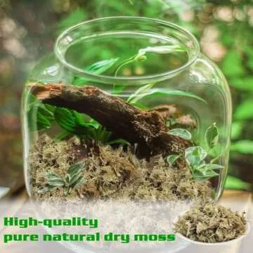 Halatool 10OZ Orchid Moss Sphagnum for repotting, 14QT Dried Sphagnum Moss for Plants Indoor, Maintain Air Humidity and Improve Soil Acidity, Natural Media for Orchid Plant Growth