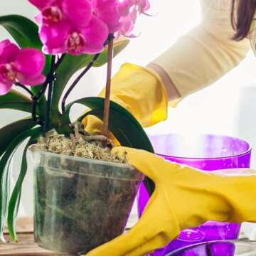 Halatool 10OZ Orchid Moss Sphagnum for repotting, 14QT Dried Sphagnum Moss for Plants Indoor, Maintain Air Humidity and Improve Soil Acidity, Natural Media for Orchid Plant Growth