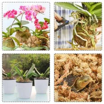 Halatool 10OZ Orchid Moss Sphagnum for repotting, 14QT Dried Sphagnum Moss for Plants Indoor, Maintain Air Humidity and Improve Soil Acidity, Natural Media for Orchid Plant Growth