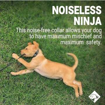 Personalized Dog Tags | Jingle-Free & Durable Design