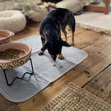 rocket & rex Premium Washable Pee Pads for Dogs | Reusable Puppy Pads, Training Pads for Dogs | Absorbent & Eco-Friendly Dog Pee Pads | Single Purchase, Less Waste | Small Business | 2-Pack, 22 x 22