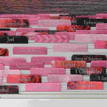 Thinkor Reposition Laminated Bible Tabs, Large Print Stickers, Easy to Read and Apply Bible Tabs for...