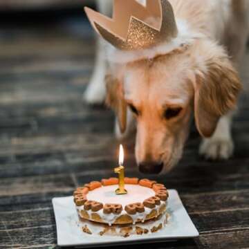 Wheat-Free Puppy Cake Mix & Frosting - Perfect for Dogs!