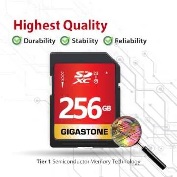 Gigastone 256GB SD Card UHS-I U1 Class 10 SDXC Memory Card High Speed Full HD Video Canon Nikon Sony Pentax Kodak Olympus Panasonic Digital Camera, with 1 Mini case