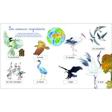 Le Grand Imagier Montessori de la Nature for Kids