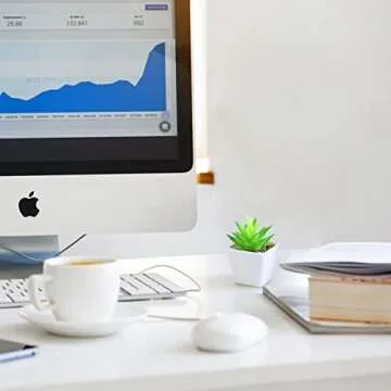 Veryhome Fake Succulents Plants Artificial Faux Succulents Small 4pcs Mini Potted Plastic Succulents for Christmas Home Office Living Room Desk Decor Aesthetic