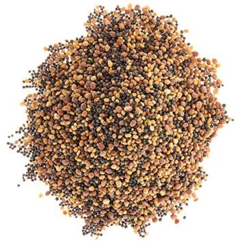 Spicy Sprouting Mix with Tendergreen, Radish, & Crimson Clover Seeds