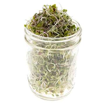 Spicy Sprouting Mix | Non-GMO Heirloom Seeds | Bulk 1 LB