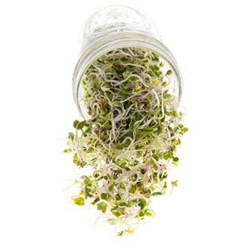 Spicy Sprouting Mix | Non-GMO Heirloom Seeds | Bulk 1 LB