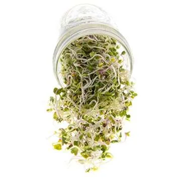 Spicy Sprouting Mix | Non-GMO Heirloom Seeds | Bulk 1 LB