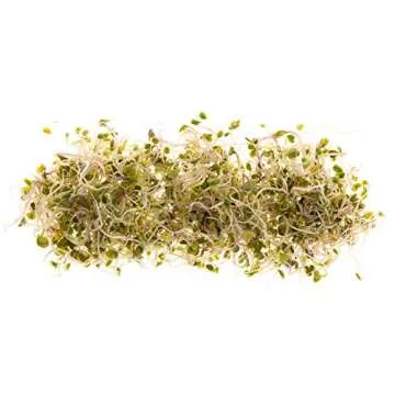 Spicy Sprouting Mix | Non-GMO Heirloom Seeds | Bulk 1 LB