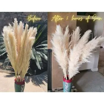 Feathers for Vase - 3 46" Large Pampas Grass Decor Tall - Dried Pampas Grass Vase - Boho Plants - Pompas Decorativas Tall - Fluffy Pampas Grass White - Boho Desk Decor - Boho Wedding Decor