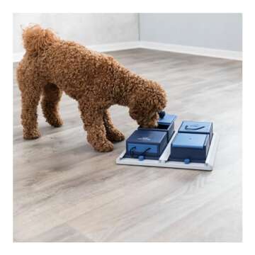 TRIXIE Poker Box 1 Strategy Game, Intermediate Dog Puzzle Toy, Level 2 Activity, Treat Puzzle, Interactive Play, Enrichment