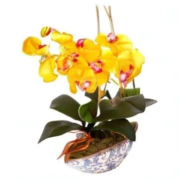 Nearly Natural Phalaenopsis Orchid Arrangement for Home Decor