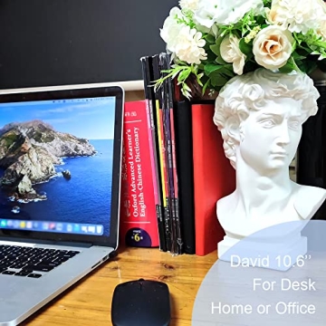 BOYOWO 10.6'' David Statue Vase for Unique Home Decor