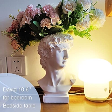BOYOWO 10.6'' David Statue Vase for Unique Home Decor