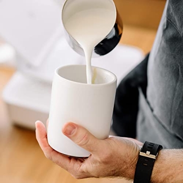 Fellow Monty Milk Art Cups Double Wall Latte Mug 11 oz