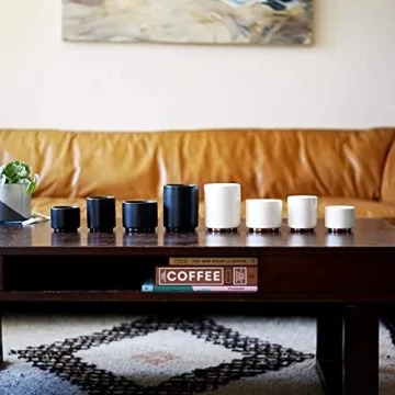 Fellow Monty Milk Art Cups Double Wall Latte Mug 11 oz