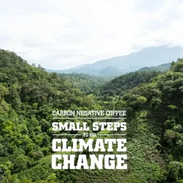 Tiny Footprint Coffee Organic Nicaragua Dark Roast Whole Beans