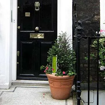 Slow Seep White Terracotta Vacation Plant Waterer 8 Pack Self Watering Stakes for Outdoor and Home Plants