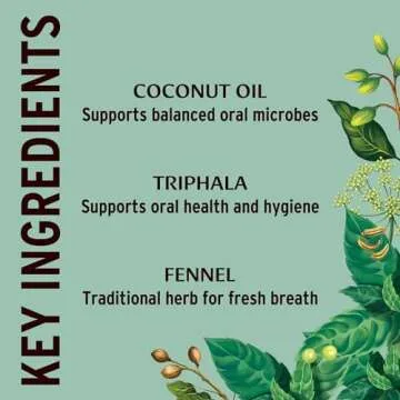 Banyan Botanicals Mint Daily Swish – Organic Ayurvedic Pulling Oil with Coconut Oil – Mouthwash ...